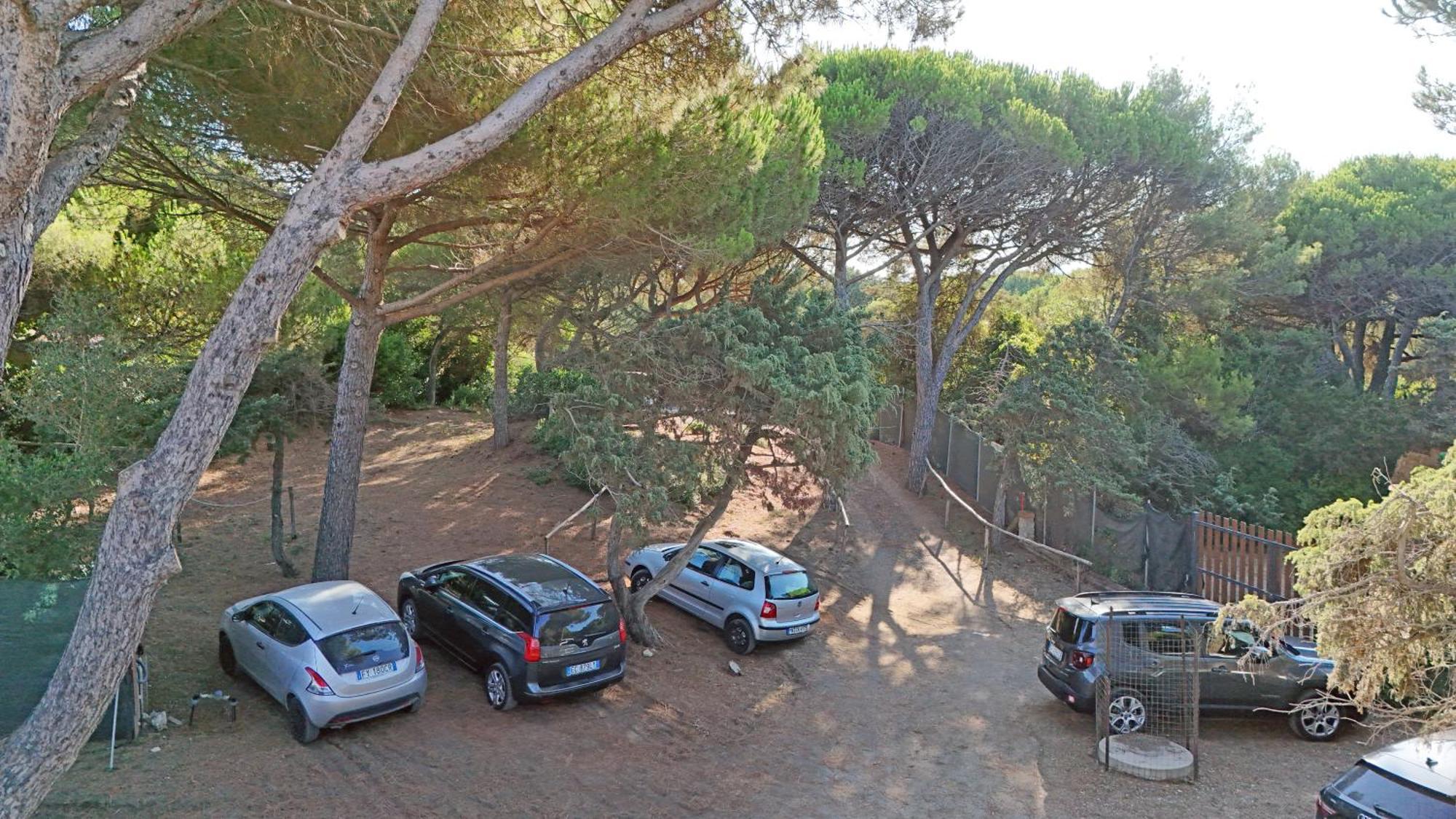 Paradiso 3*